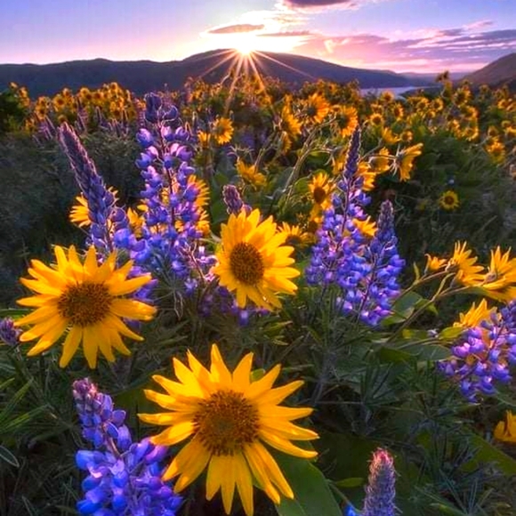 Meet your Posher, Michele - Picture 1 of 1